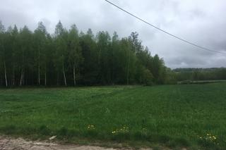 Zabiła sąsiada, bo przetopił jej psa na smalec?