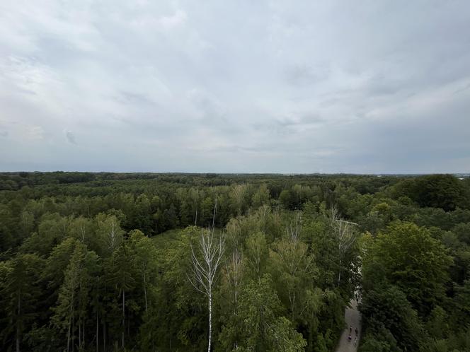   To najwyższa wieża widokowa w warmińsko-mazurskim. Trzeba pokonać niemal 200 schodów. Zobacz zdjęcia