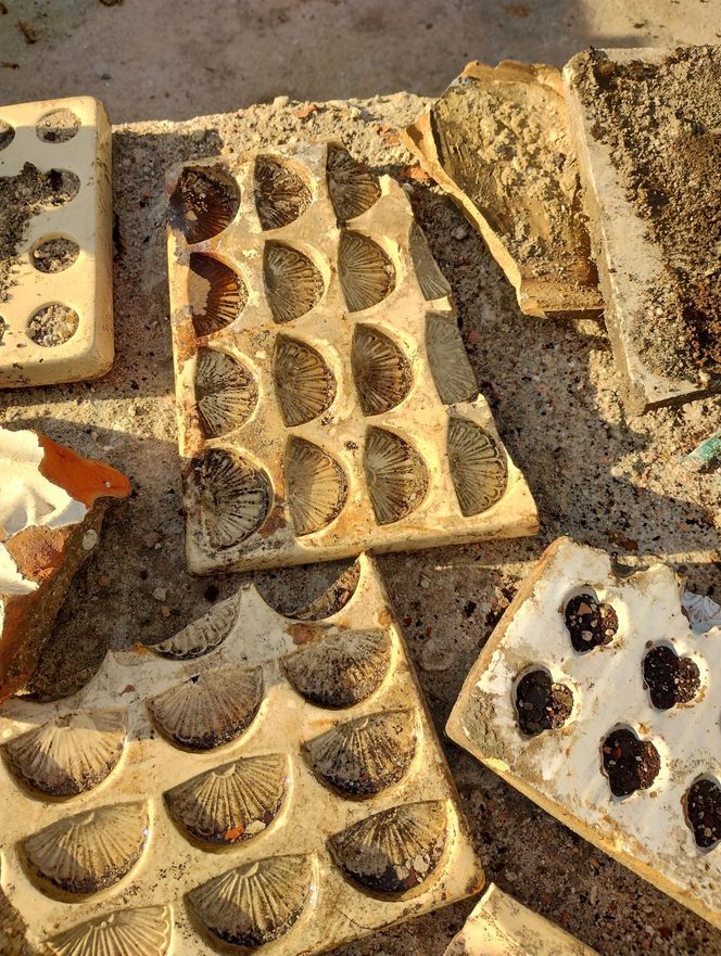 Pozostałości po Fabryce Czekolady "Venus" w Warszawie