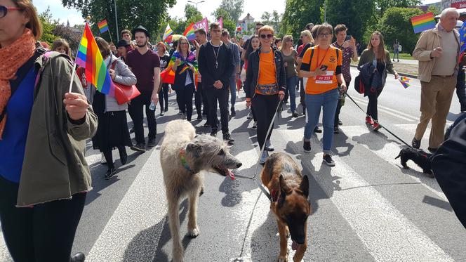 Marsz Równości w Bydgoszczy