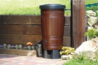 Poznań zazielenia szkoły. Zamiast betonu – ogrody, łąki i domki dla owadów