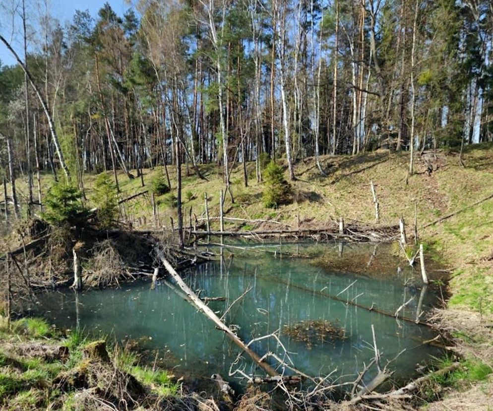 Kolorowe jeziorka w Bibieli na Pasiekach to atrakcja województwa śląskiego
