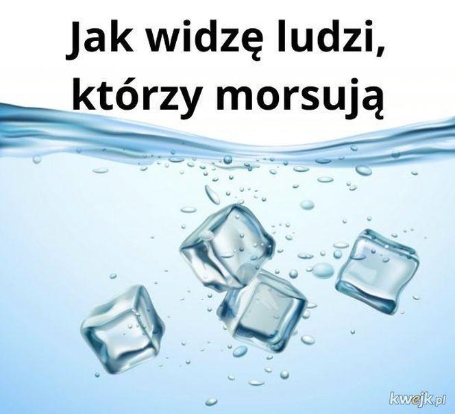 Najlepsze memy o morsowaniu na rozpoczęcie sezonu! Uśmiech gwarantowany 