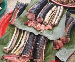 To doskonałe źródło białka. Naukowcy zapraszają na obiad z pytona