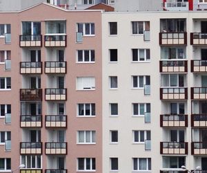 Wyłudzili dziewięć mieszkań własnościowych i komunalnych. Proceder miał miejsce w Gdańsku, Gdyni i Pruszczu Gdańskim