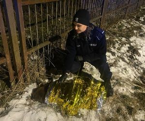 Policjanci uratowali bobra. Okryli go kocem termicznym