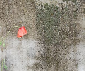 Leczenie depresji. W jaki sposób leczyć depresję?