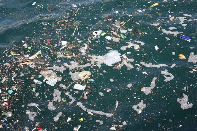 Bałtyk jest jednym z najbardziej zanieczyszonych mórz na świecie