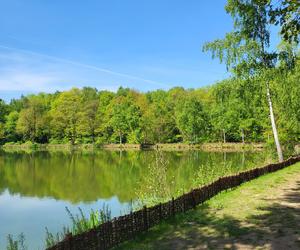 Kraków - Park Tetmajera