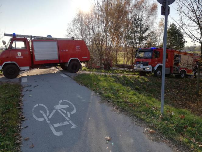 Makabryczne odkrycie w Siedlcu koło Radłowa