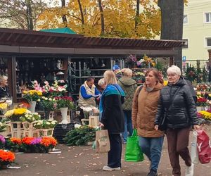 Przygotowania do 1 listopada na Cmentarzu Centralnym w Szczecinie