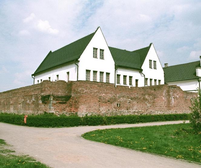 9. Zamek w Gosławicach