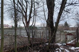 Zwłoki kobiety znalezione przy domu zakonnym. Siostry czuły fetor, szokujące zeznania sąsiadki