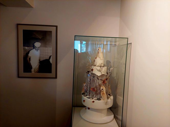Cukiernia Sowa, linia produkcyjna