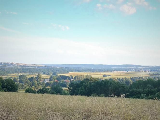 Widok na Roztocze Szczebrzeszyńskie