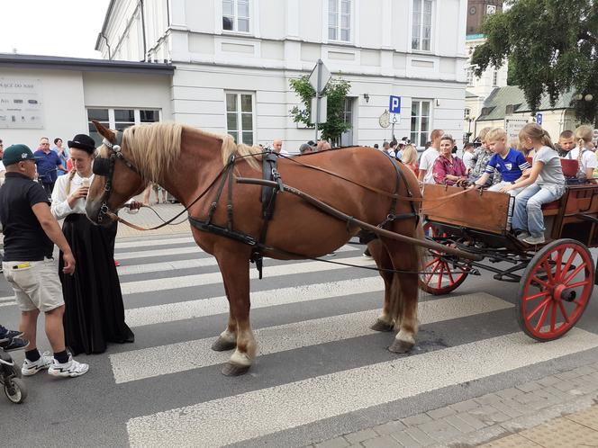 Siedlczanie mogli wsiąść w wehikuł czasu i zobaczyć ulicę Pułaskiego - Piękną sprzed stu lat