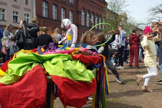 Zające chodzące i z czekolady w centrum Leszna
