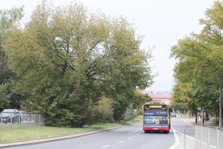 Tak tramwajarze zwężą ulice pod budowę trasy do Wilanowa