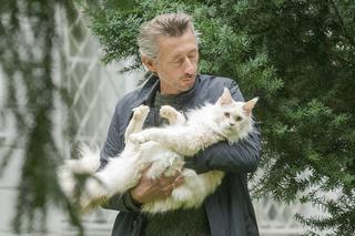 Pierwszy kot Lewicy. Poseł Maciej Gdula na spacerze na smyczy z kotem wielkości psa