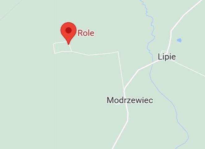 Role