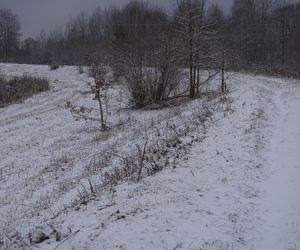 Zima w Świętokrzyskiem. Skarżysko-Kamienna (22.11.2024)