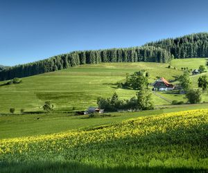 „Piękna Wieś Podkarpacka 2025”. Ta miejscowość nosi ten tytuł! 