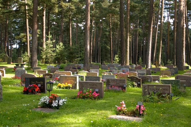 Cmentarz Skogskyrkogarden