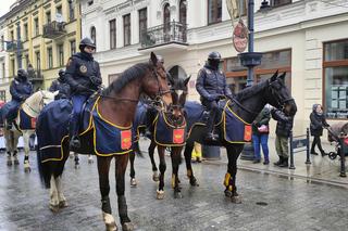 Kolorowy Orszak Trzech Króli w Łodzi. W centrum miasta pojawiło się mnóstwo osób [ZDJĘCIA]