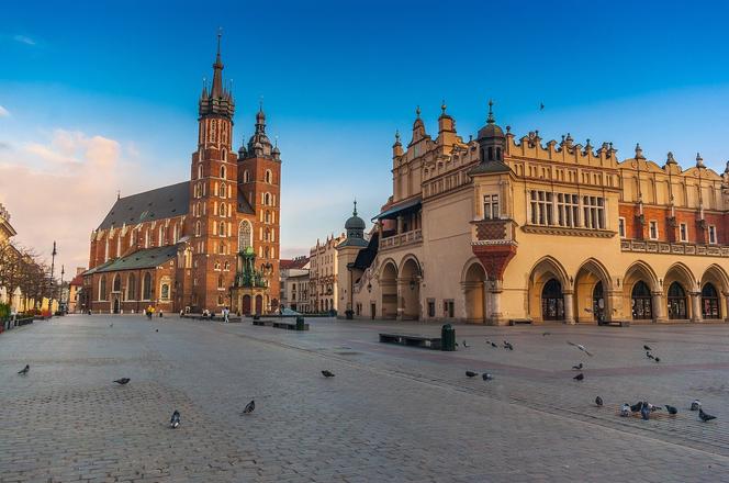 Kraków zieloną stolicą Europy 2023? Tego chcą miejscy urzędnicy. Mieszkańcy są sceptyczni