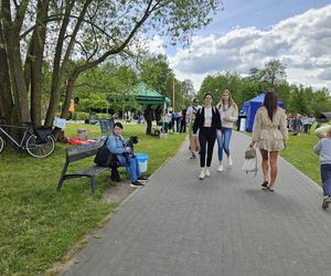 Festiwal Przyjaciół Zwierząt w Olsztynie. Park Centralny opanowały radosne pieski