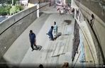 Lew rzucił się na dzieci i kobietę pośrodku ulicy! Oto, co stało się potem