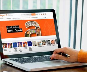 Platformy handlowe coraz częściej punktem startowym zakupów online - Allegro na czele