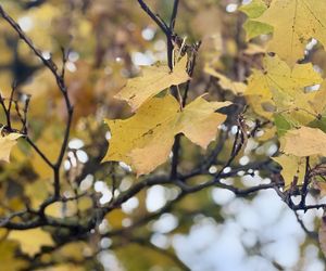 Jesień w Polsce 2025