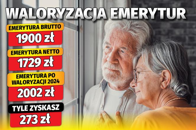 waloryzacja 2024 (12 proc.) + waloryzacja kwotowa