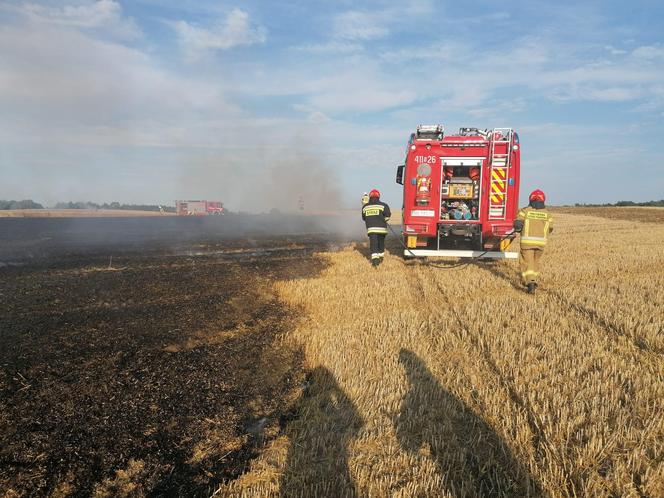 Dwa pożary zboża oraz rżyska w powiecie braniewskim