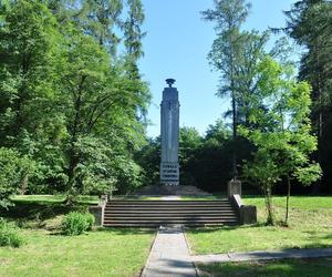 W podtarnowskiej wsi znajduje się największy cmentarz ofiar Holocaustu. Tak wygląda las Buczyna w Zbylitowskiej Górze