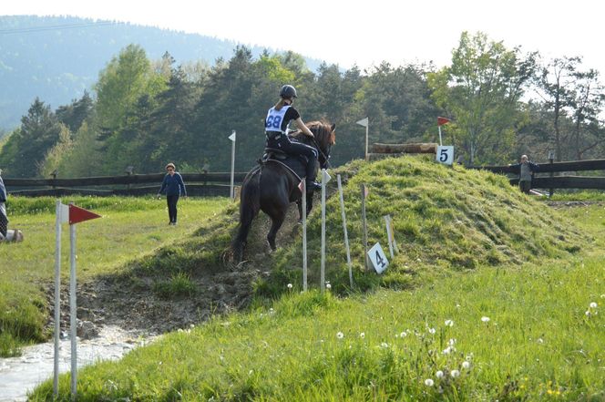 Największa taka stadnina na świecie leży w Małopolsce. Hodują tam wyjątkowe konie 