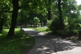 Park Glazja w Toruniu. To tutaj doszło ataku na 24-letnią kobietę