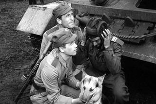 Czterej pancerni i pies