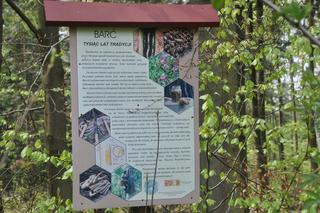 Świnia Góra idealna na wycieczkę lub biwak