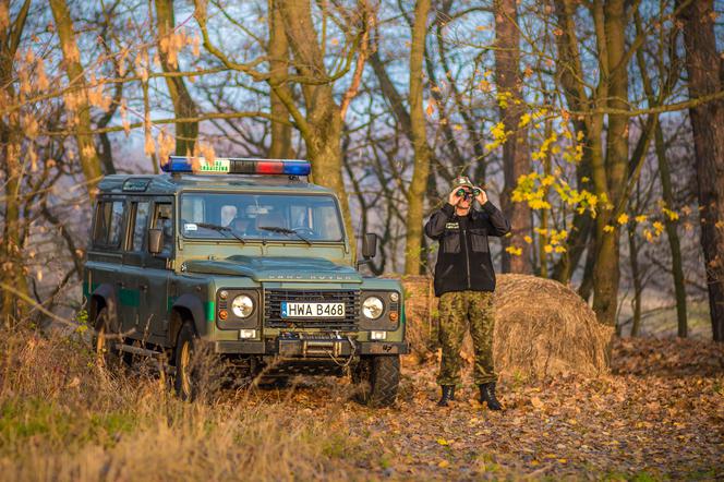 Białowieża. Dwie osoby utknęły na bagnach. Irakijka była wycieńczona [WIDEO]