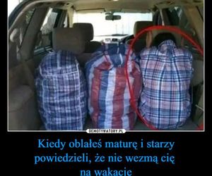 Memy o maturze