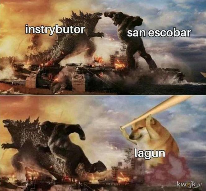Krakowski lagun to prawdziwy FENOMEN! [MEMY]