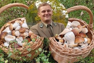 Pierwszy wysyp grzybów w Świętokrzyskiem już blisko! 