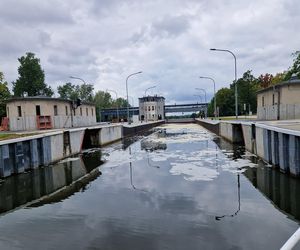 Złota alga zaatakowała Kanał Gliwicki we wrześniu 2025 roku