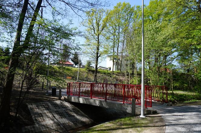 Tak wygląda park w dolinie Ślepiotki w Katowicach