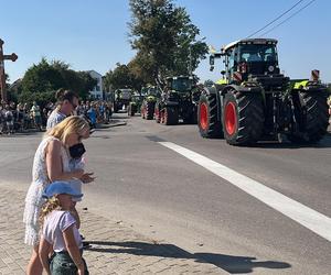 Tłumy na dożynkach w Szemudzie. Pomorskie Święto Plonów za nami. Zobaczcie zdjęcia! 