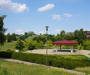 Lublin. „Filary porośnięte bluszczem” i nie tylko. Park Jana Pawła II w lipcowej odsłonie