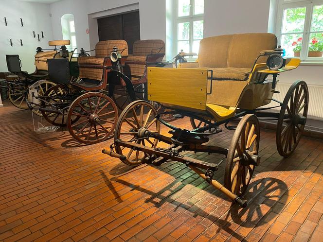 Pałac w Rogalinie zachwyca turystów. Znajduje się 20 kilometrów od Poznania 