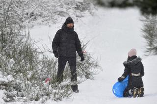 Wałęsa wskoczył na miskę